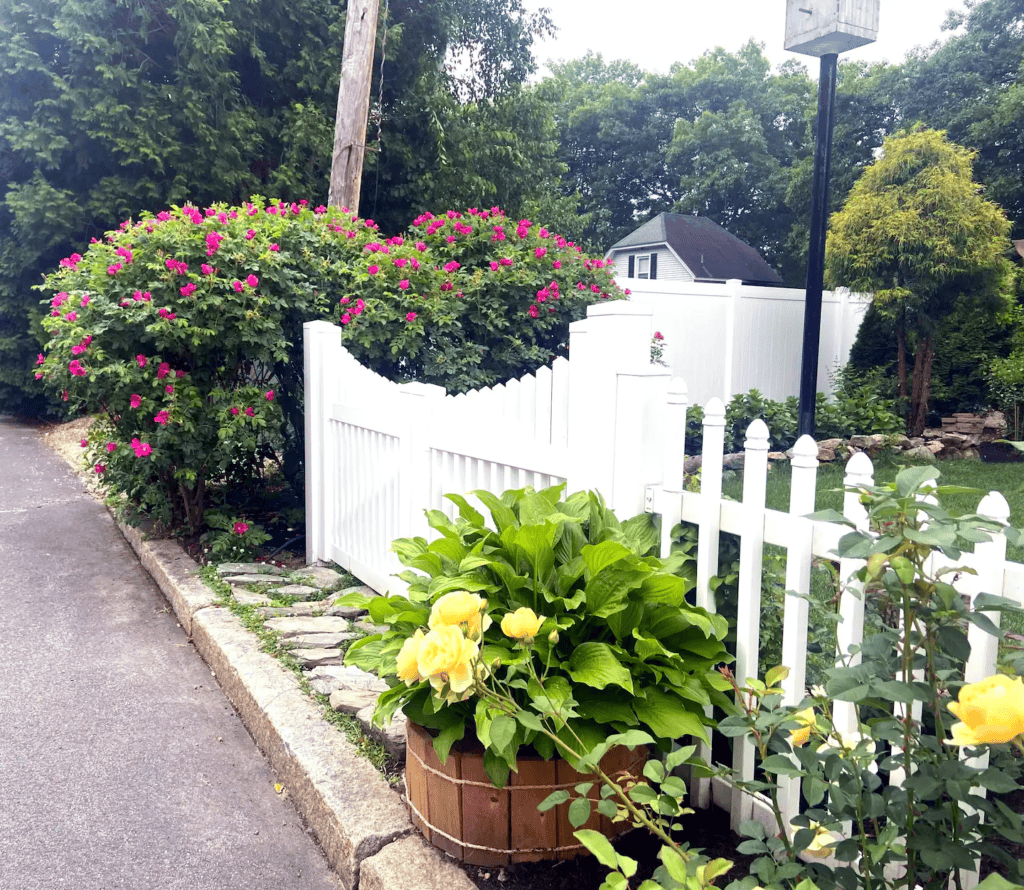 A charming garden path bordered by a white picket fence and vibrant flowers under a cloudy sky, perfect for guests of our short-term rental in New Hampshire.